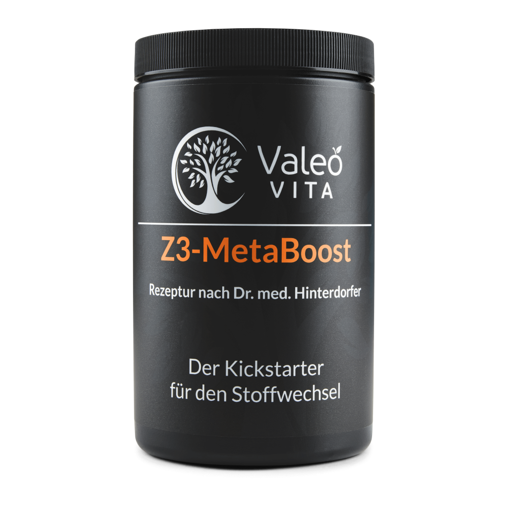 Z3-MetaBoost – Energiebooster mit Dextrose, Isomaltulose und Ribose für schnelle und langanhaltende Energie.