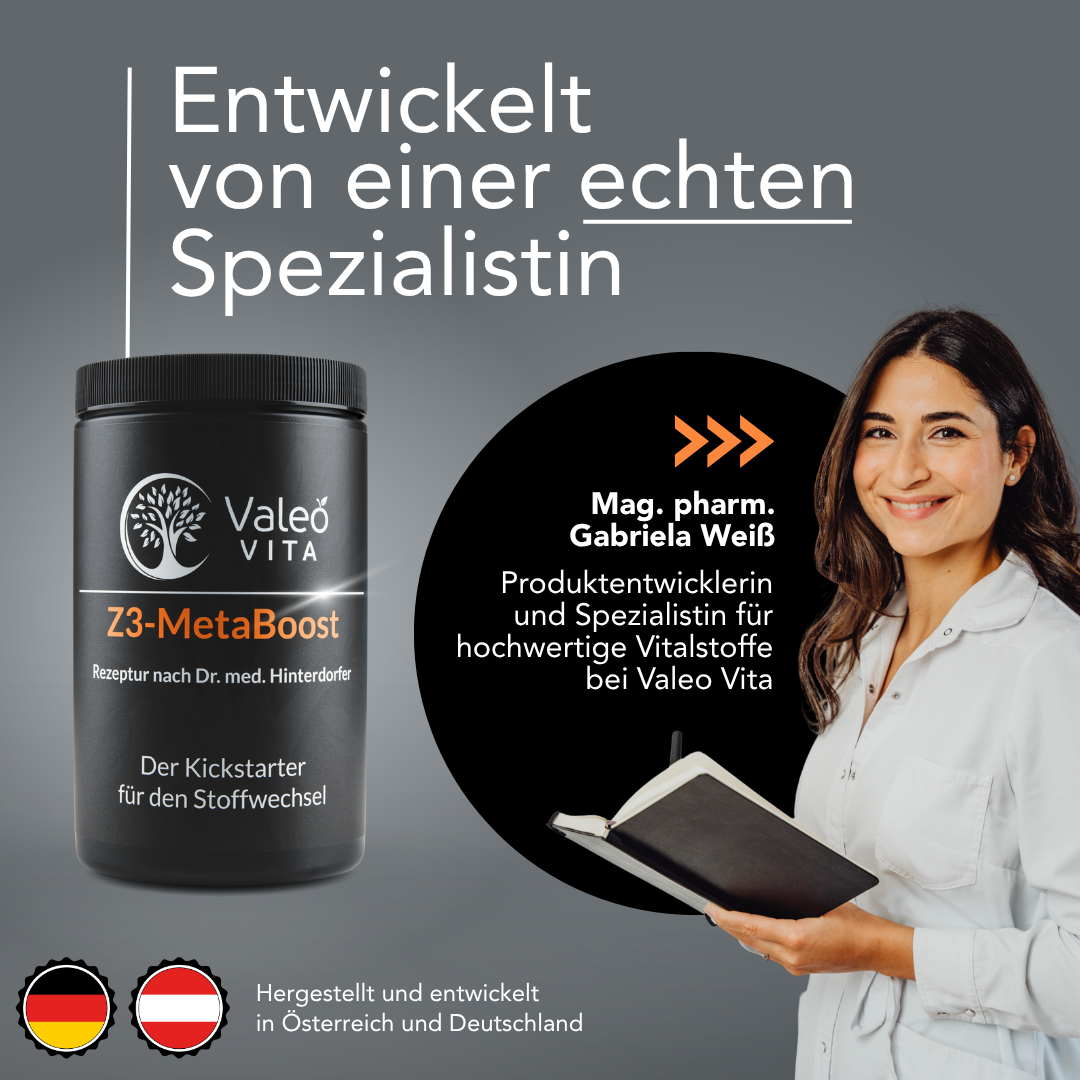 Z3-MetaBoost – Bild 2