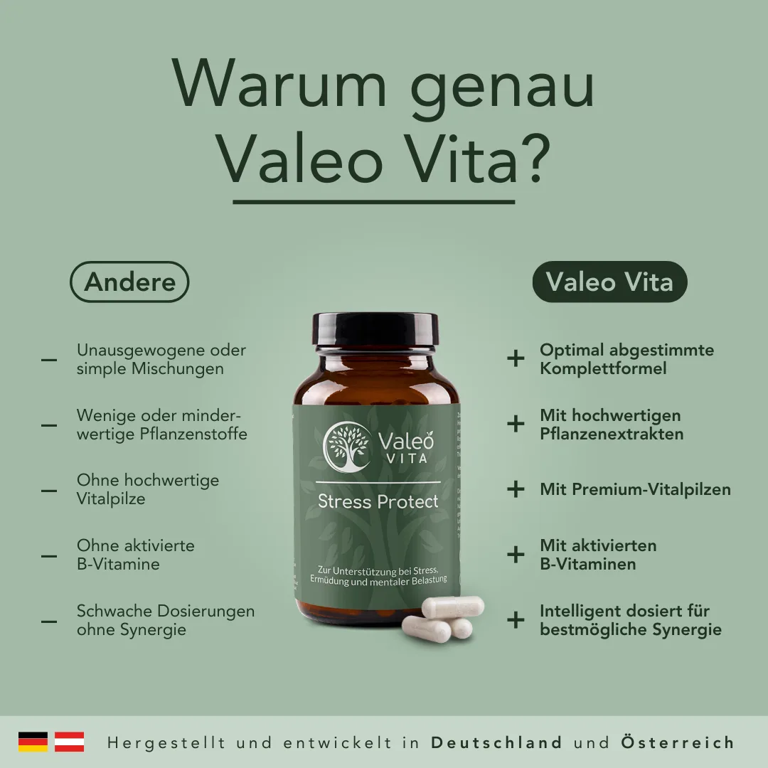 Vergleichsgrafik: Stress Protect Adaptogen-Komplex von Valeo Vita gegenüber herkömmlichen Ashwagandha-Produkten