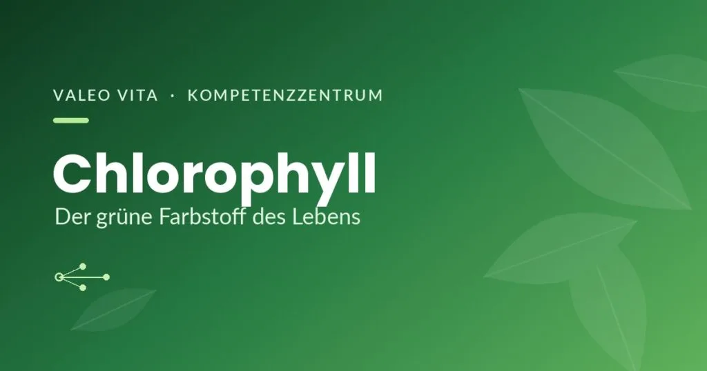 Grüne Blätter mit Schriftzug Chlorophyll – Kompetenzzentrum von Valeo Vita
