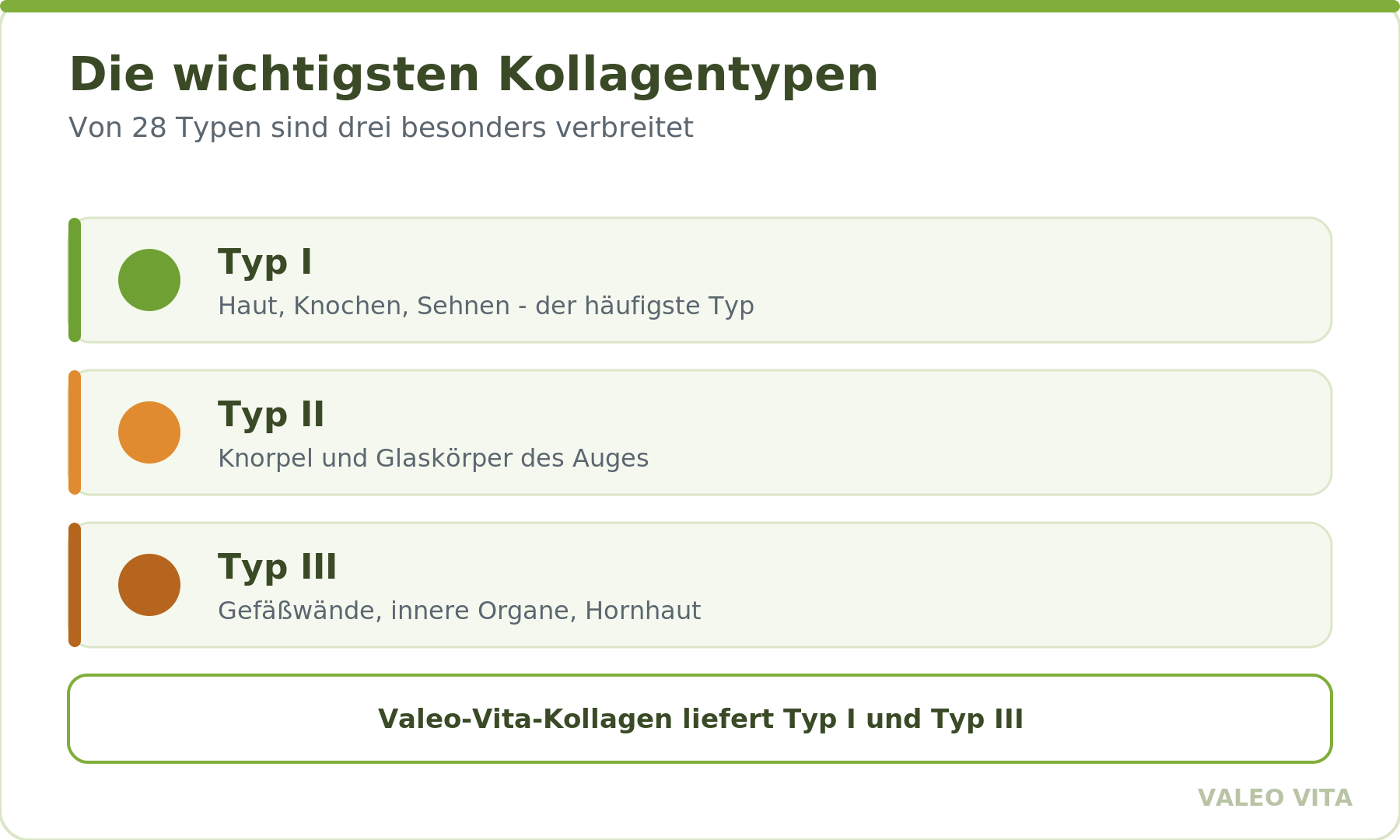 Kollagentypen I, II und III und ihr Vorkommen im Körper