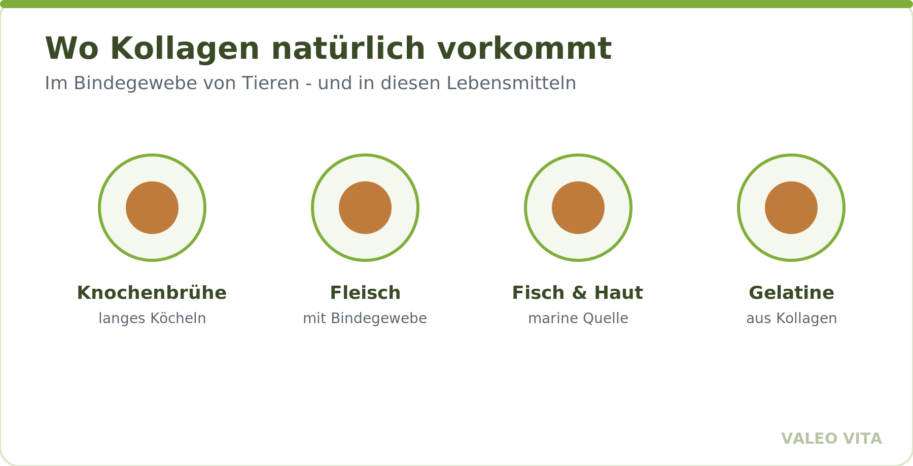 Kollagen in Lebensmitteln: Knochenbrühe, Fleisch mit Bindegewebe, Fisch und Gelatine