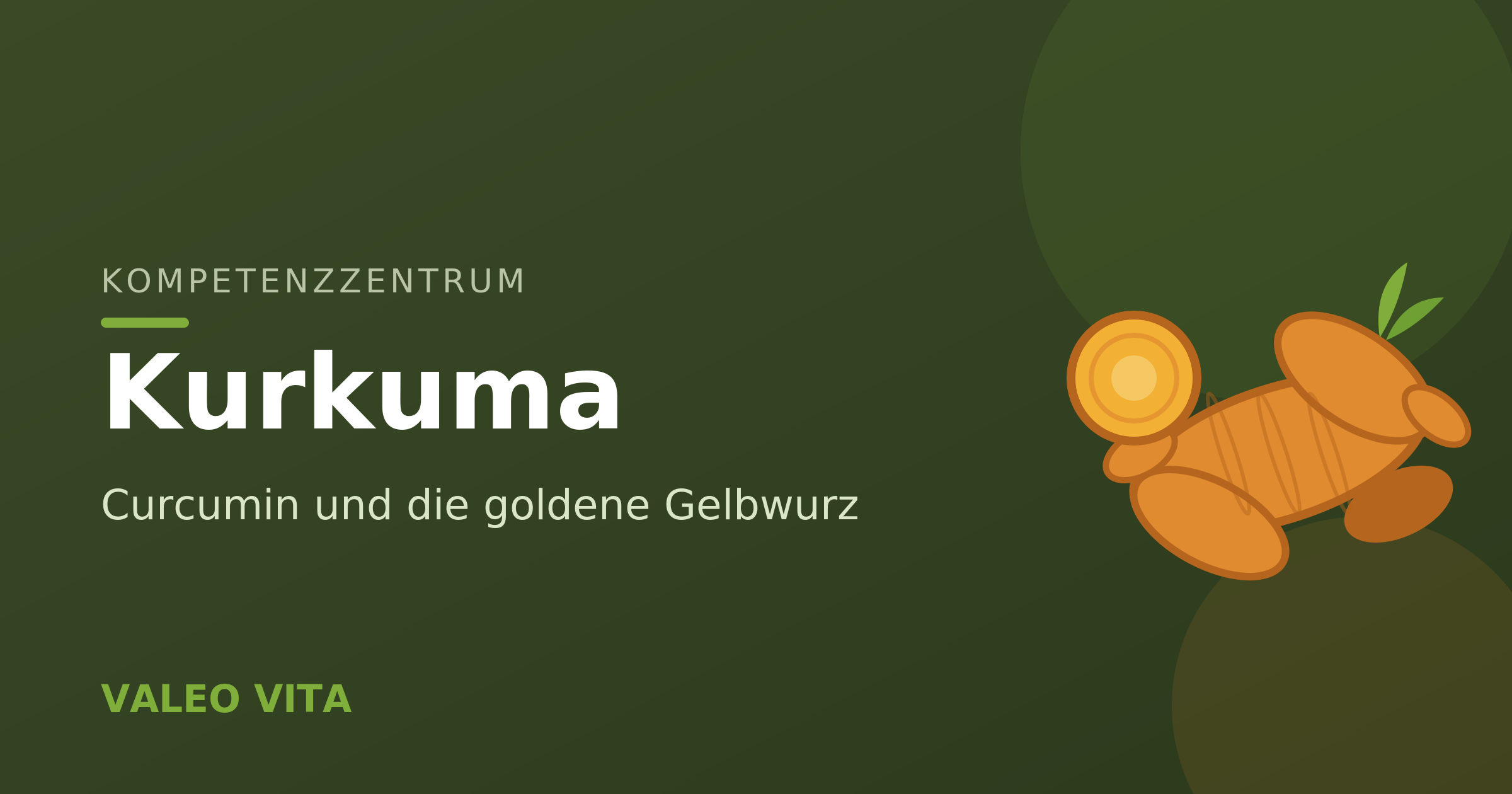 Kompetenzzentrum-Beitragsbild: Kurkuma und Curcumin
