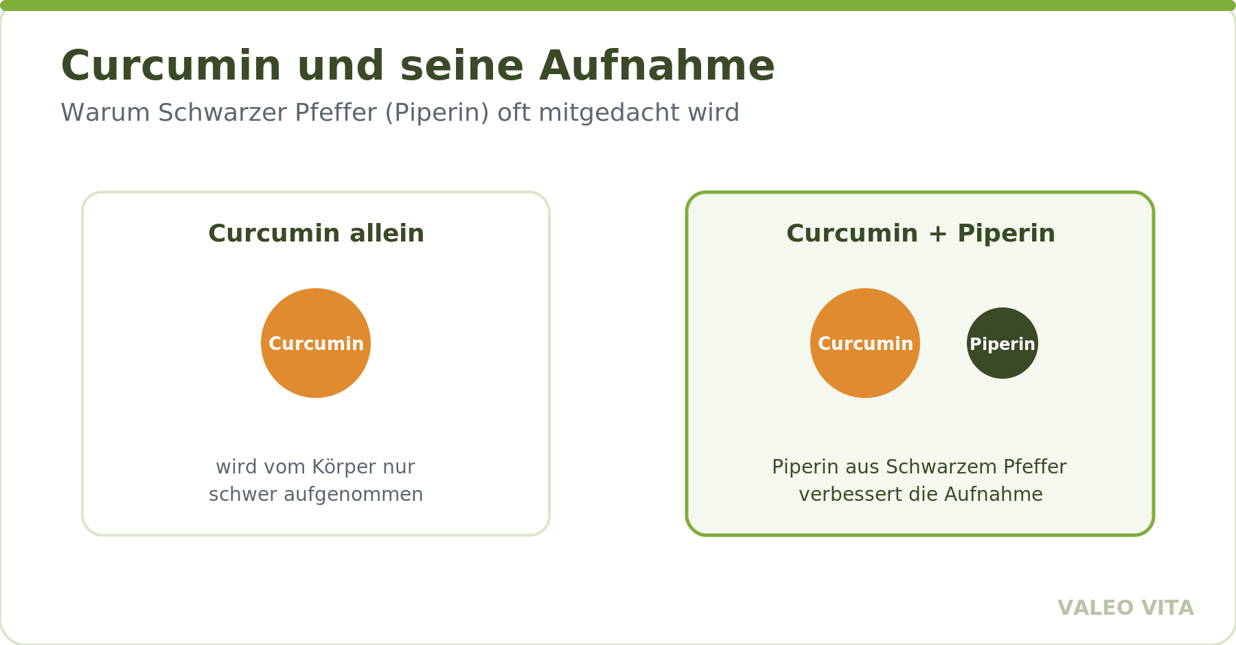 Aufnahme von Curcumin allein und in Kombination mit Piperin aus Schwarzem Pfeffer