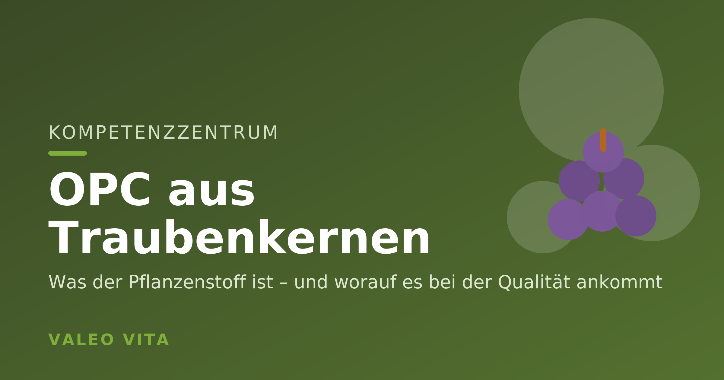 Kompetenzzentrum-Beitragsbild: OPC aus Traubenkernen
