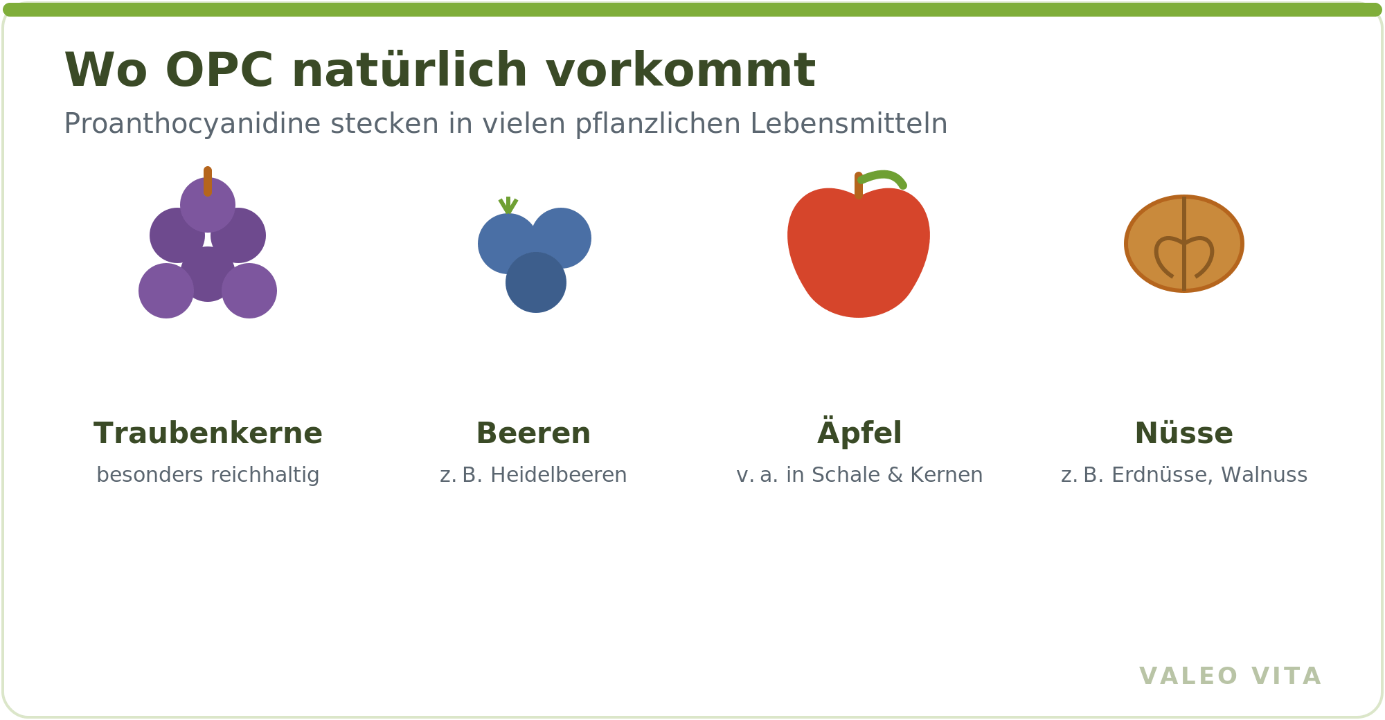 Icons: OPC kommt in Traubenkernen, Beeren, Äpfeln und Nüssen vor