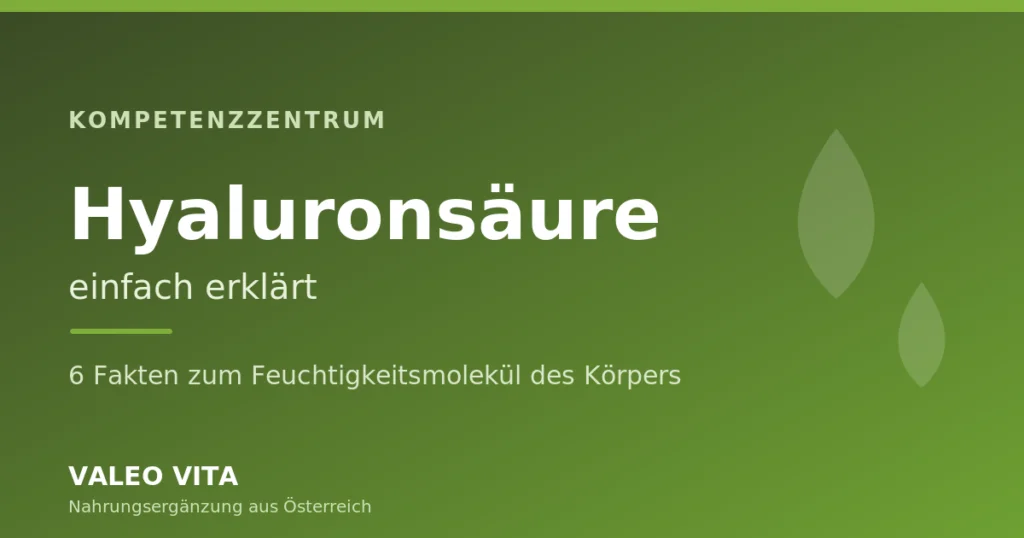 Hyaluronsäure einfach erklärt – Valeo Vita Kompetenzzentrum