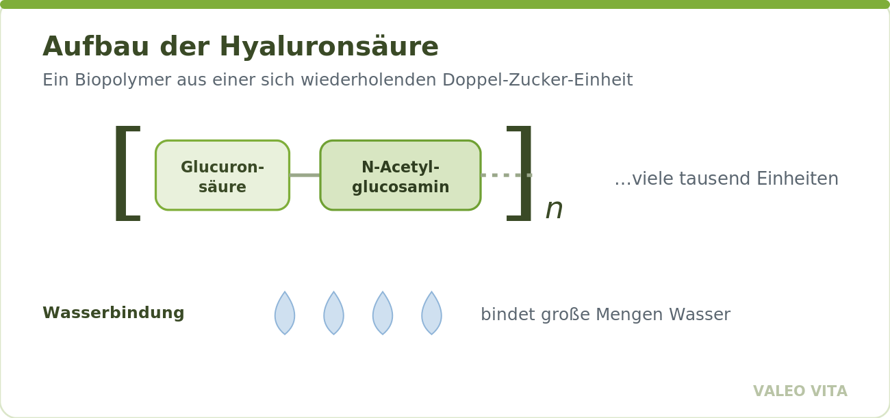 Hyaluronsäure als Kette aus zwei sich wiederholenden Zuckerbausteinen, die große Mengen Wasser bindet