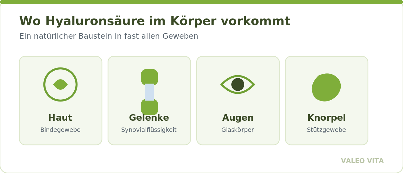 Hyaluronsäure kommt natürlicherweise in Haut, Gelenken, Augen und Knorpel vor