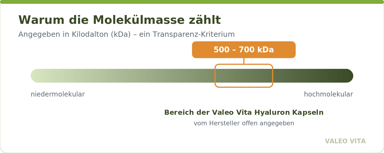 Skala der Molekülmasse; Valeo Vita Hyaluron im Bereich 500 bis 700 kDa