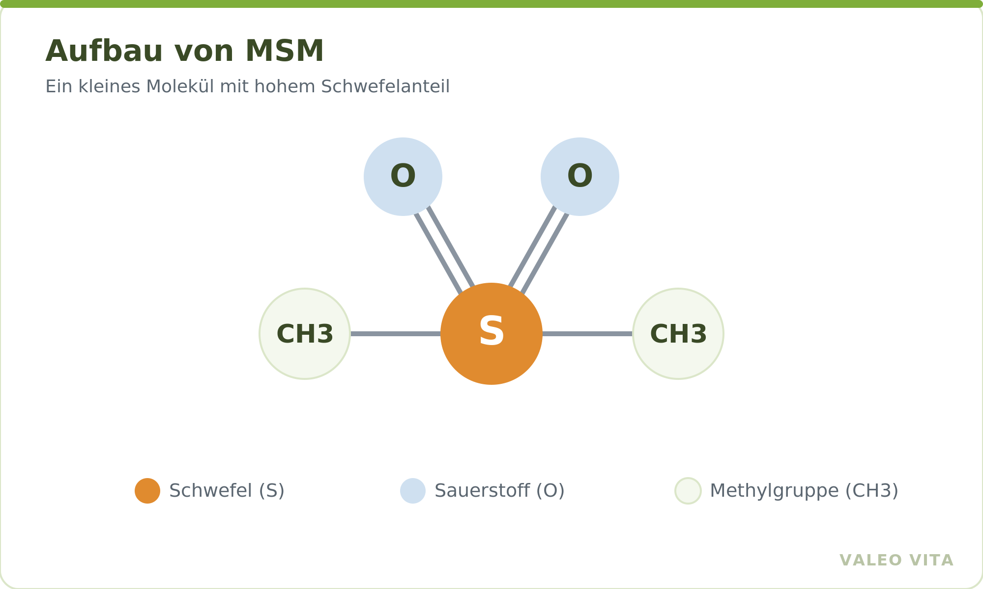 Schematischer Aufbau des MSM-Moleküls mit Schwefel, Sauerstoff und zwei Methylgruppen
