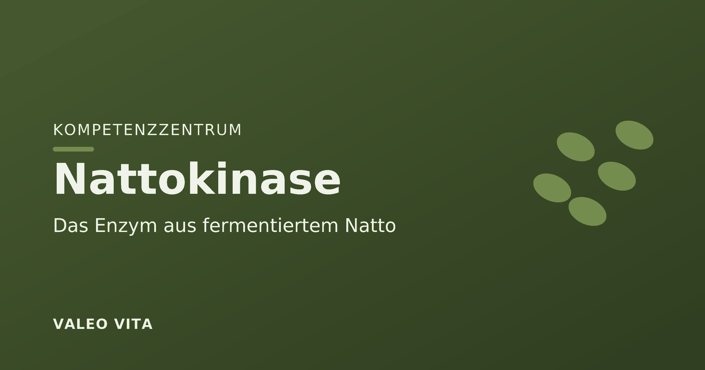 Valeo Vita Kompetenzzentrum – Nattokinase, das Enzym aus fermentiertem Natto