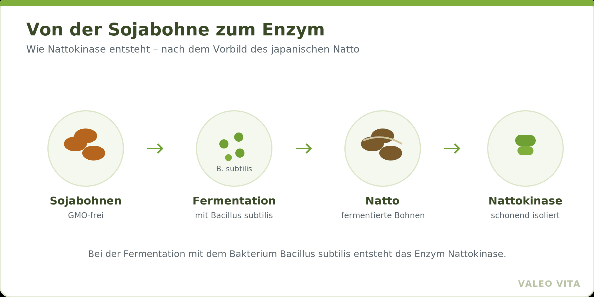 Prozess von der GMO-freien Sojabohne über Fermentation und Natto zur Nattokinase