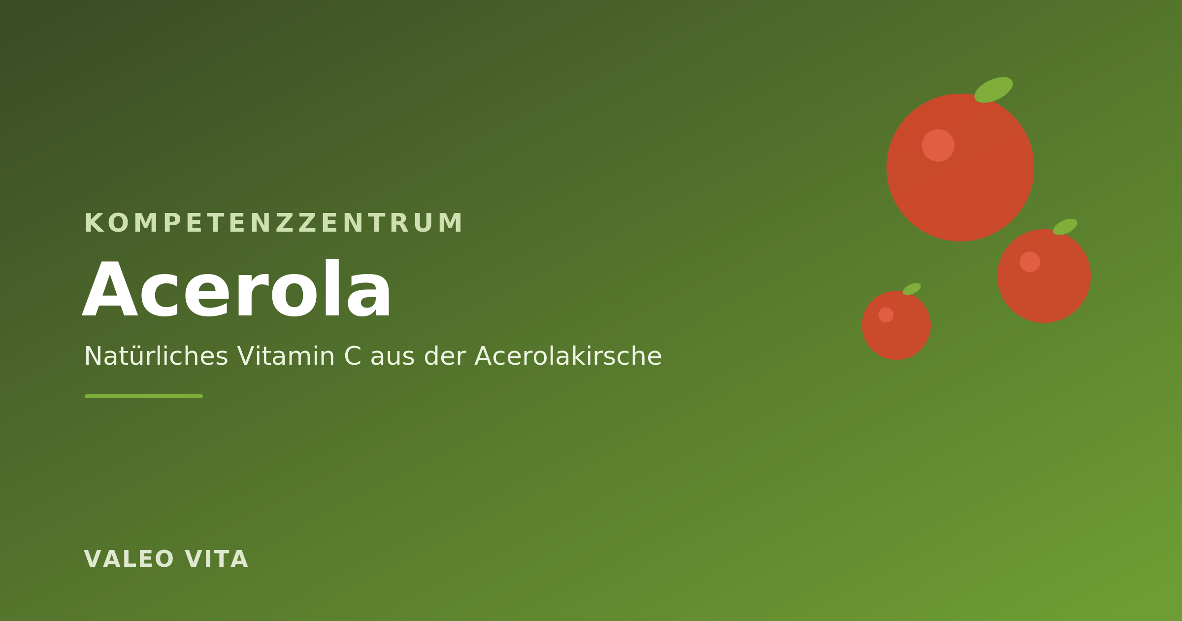 Acerola Kompetenzzentrum Banner – natürliches Vitamin C aus der Acerolakirsche
