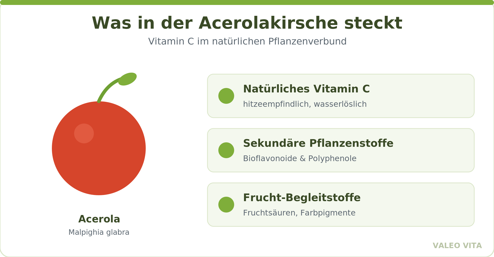 Acerola Vitamin C im natürlichen Pflanzenverbund mit sekundären Pflanzenstoffen