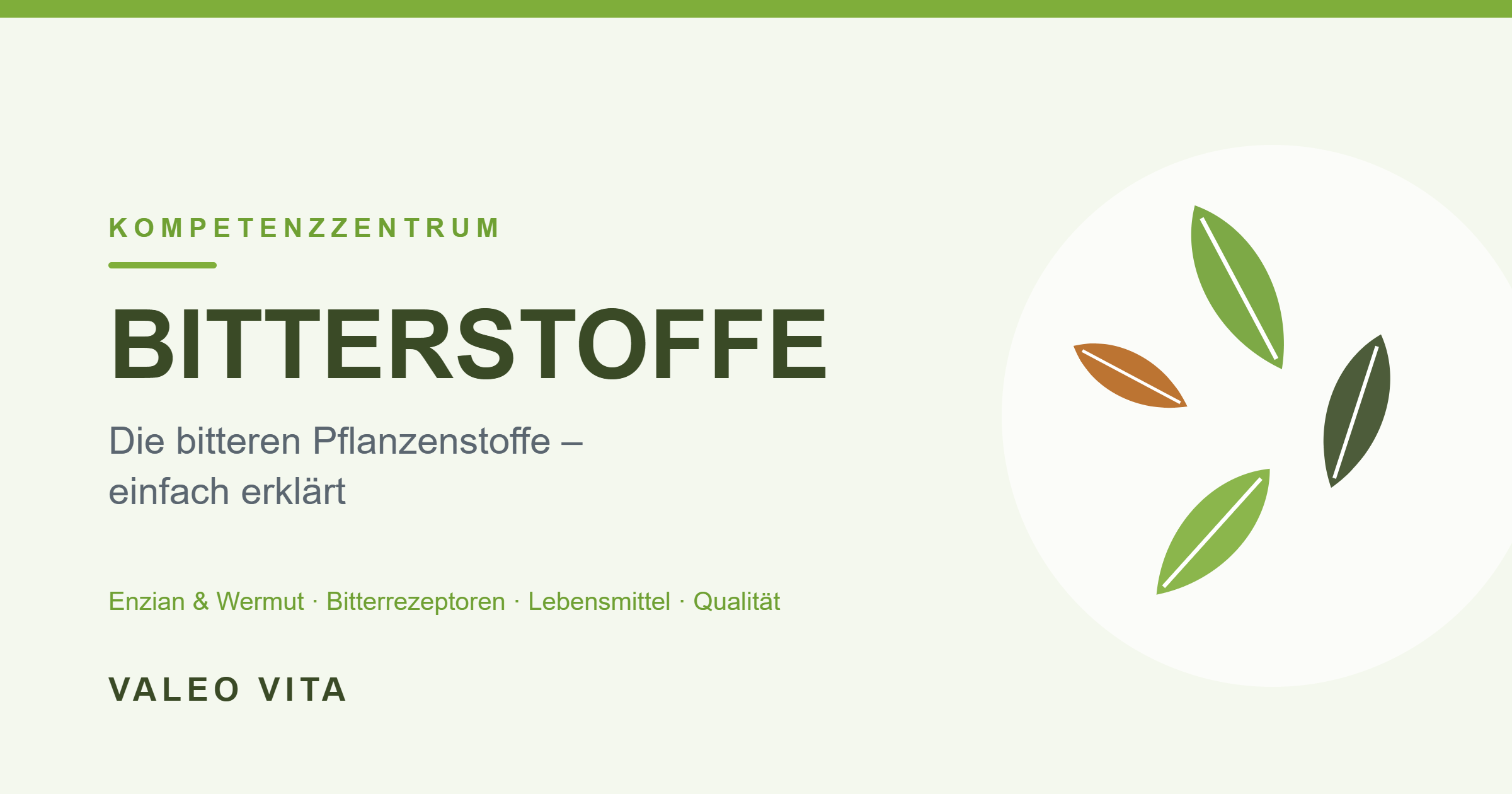 Beitragsbild Bitterstoffe: bittere Pflanzenstoffe einfach erklärt
