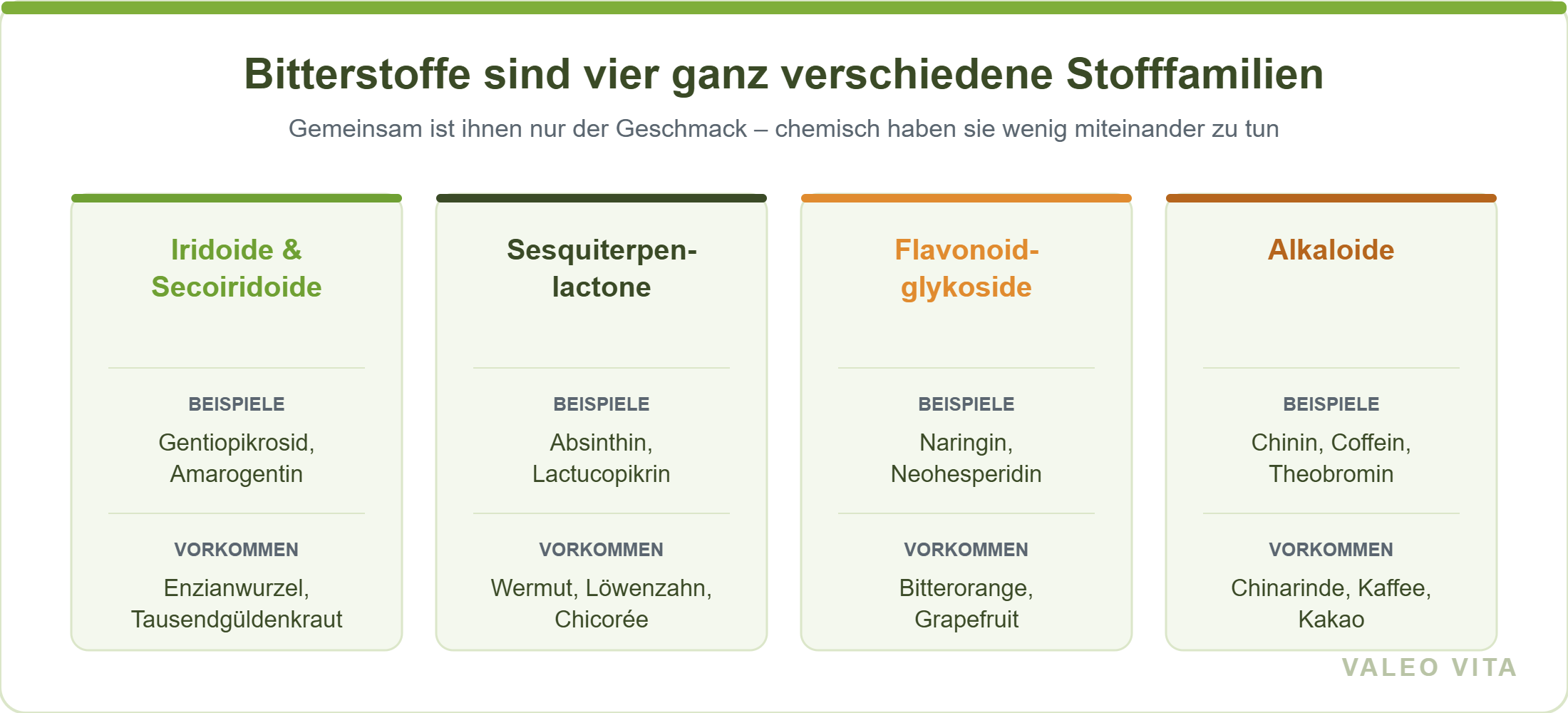 Vier Stofffamilien der Bitterstoffe mit Beispielen und Vorkommen