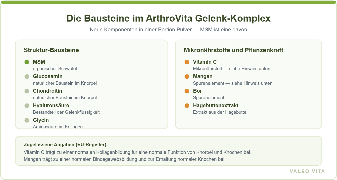 Übersicht der Bausteine im ArthroVita Gelenk-Komplex: MSM, Glucosamin, Chondroitin, Hyaluronsäure, Glycin, Vitamin C, Mangan, Bor und Hagebuttenextrakt