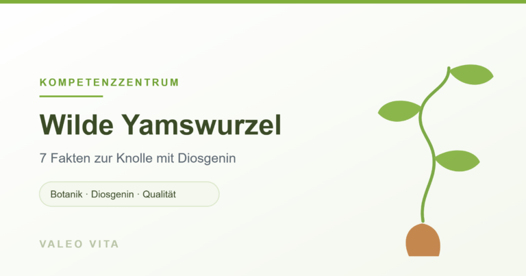Banner Wilde Yamswurzel: 7 Fakten zur Knolle mit Diosgenin