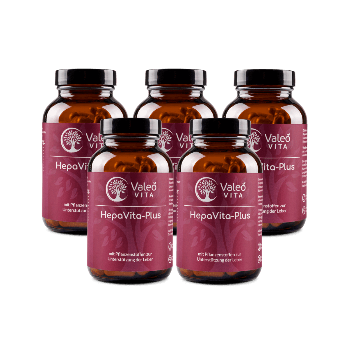 HepaVita Plus 5er Pack