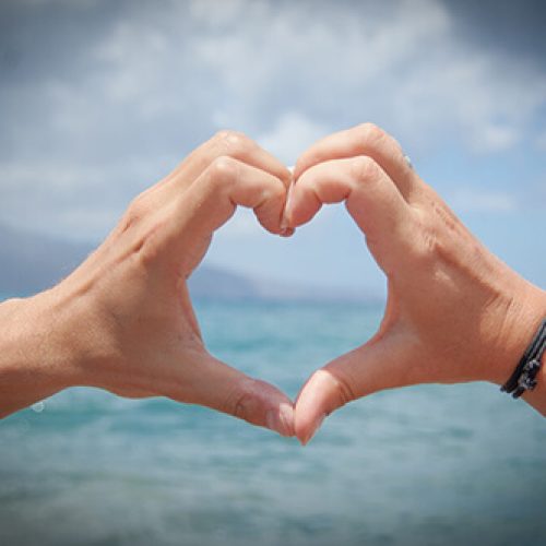 die-wirkung-von-omega-3-auf-die-herzfunktion die-wirkung-von-omega-3-auf-die-herzfunktion